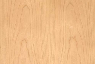 Wood veneers