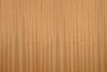 Wood veneers