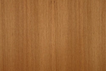 Wood veneers
